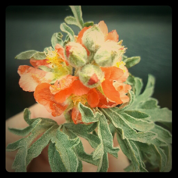 💖WELCOME TO MY CLOSET💖 - Picture 1 of 2